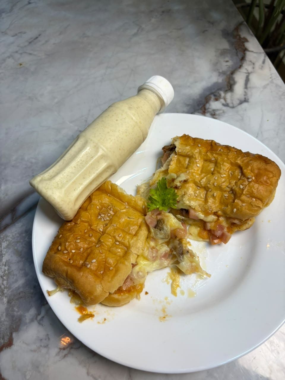 Panini degue, photo